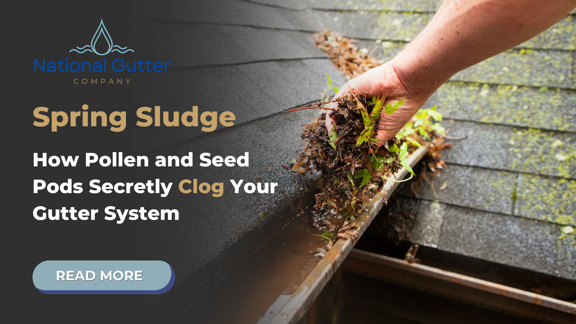 How Pollen and Seed Pods Secretly Clog Your Gutter System vancouver gutter maintenance